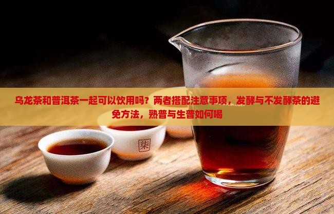 乌龙茶和普洱茶一起喝吗