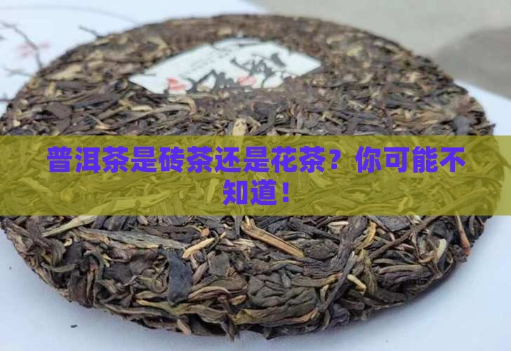 普洱茶是砖茶还是花茶