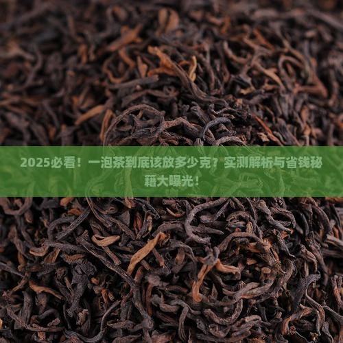 一泡茶多少放多少克茶叶