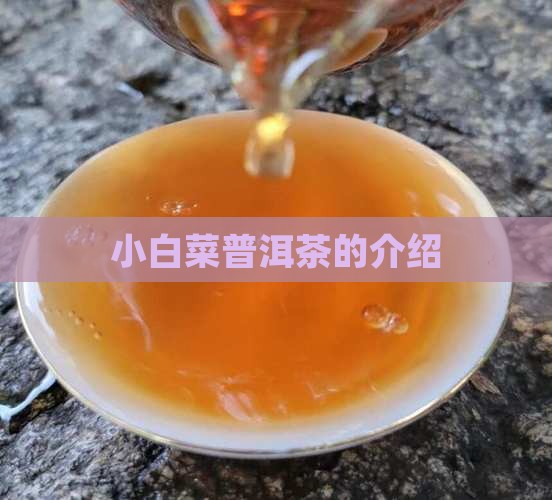 小白菜普洱茶的介绍