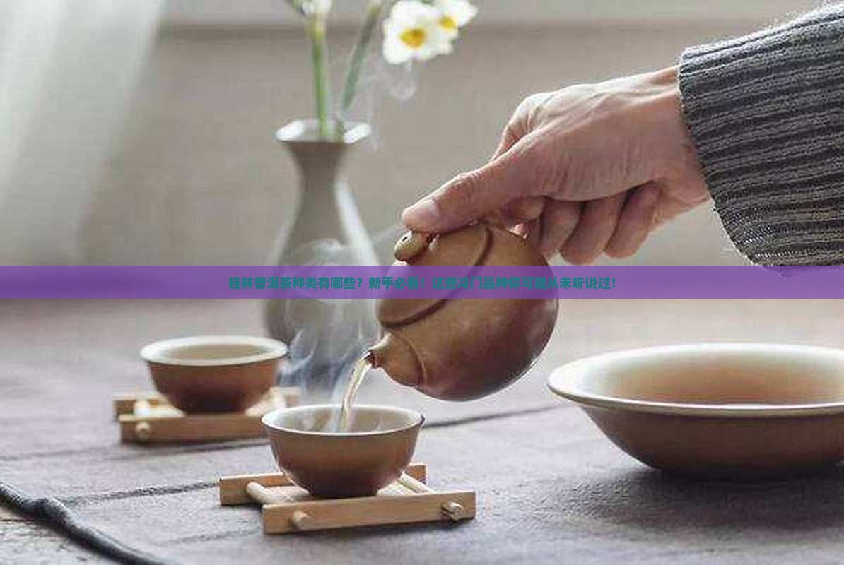 桂林普洱茶种类
