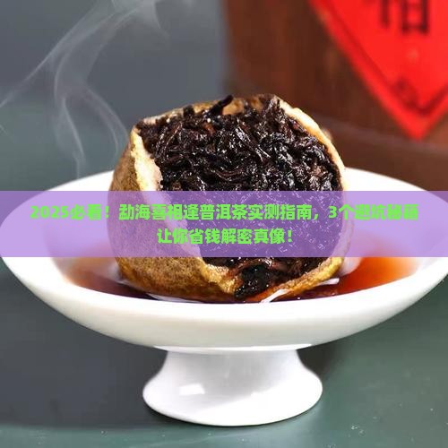 勐海喜相逢普洱茶