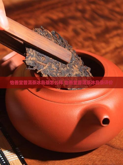 怡善堂普洱茶冰岛茶