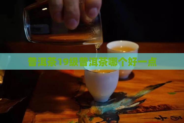 普洱茶19级哪个好一点