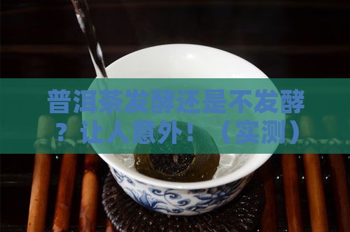 普洱茶发酵与不发酵