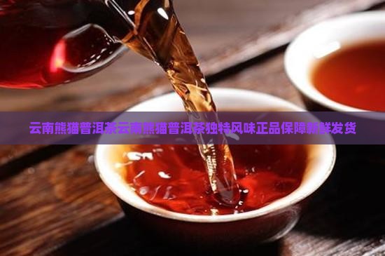 云南熊猫普洱茶