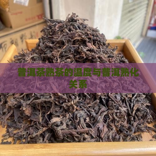 普洱茶的熟化温度