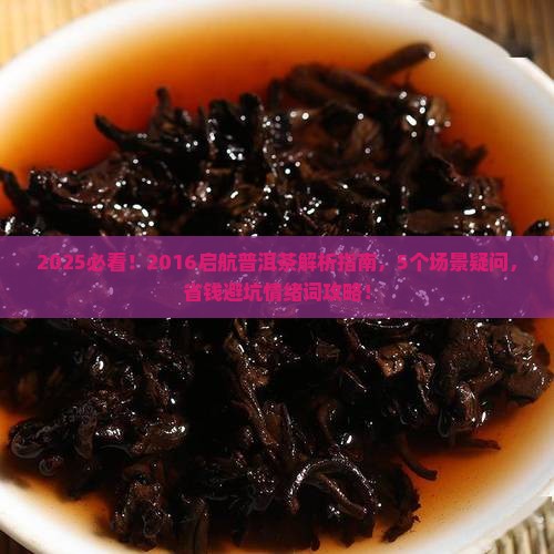 2016启航普洱茶