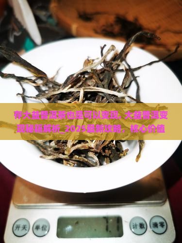 存大益普洱茶也是可以变现