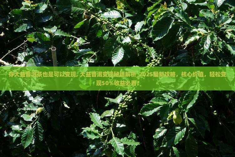 存大益普洱茶也是可以变现