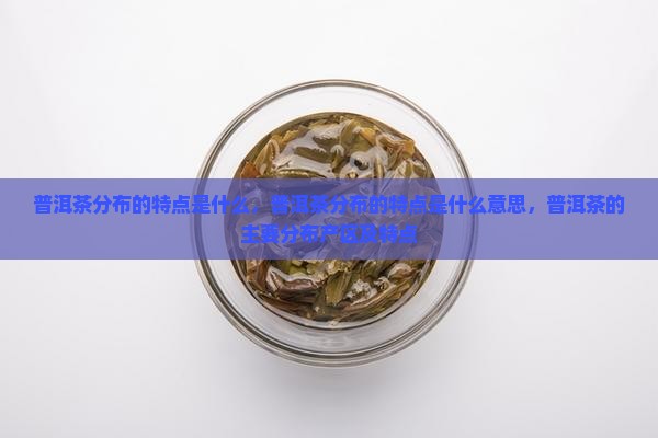普洱茶分布的特点是什么