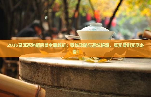 普洱茶种植的前景如何样