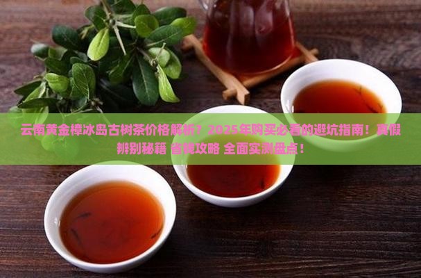 云南黄金樟冰岛古树茶价格
