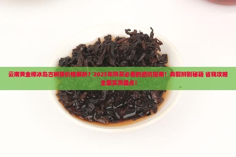 云南黄金樟冰岛古树茶价格