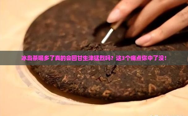 冰岛茶喝多了回甘生津猛烈