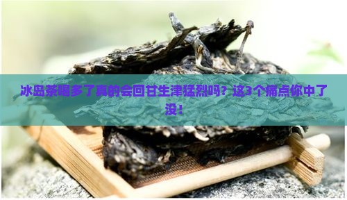 冰岛茶喝多了回甘生津猛烈