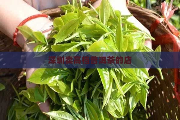 深圳卖高档普洱茶的店 深圳卖高档普洱茶的店