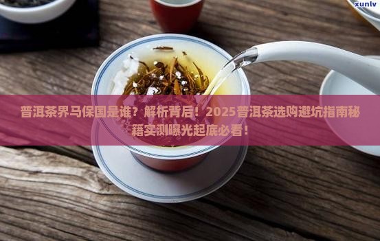 普洱茶界马保国