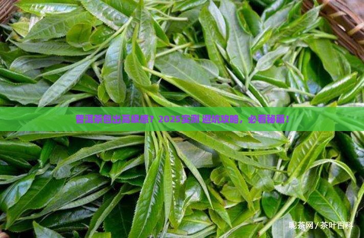 普洱茶怎么包出来的好看
