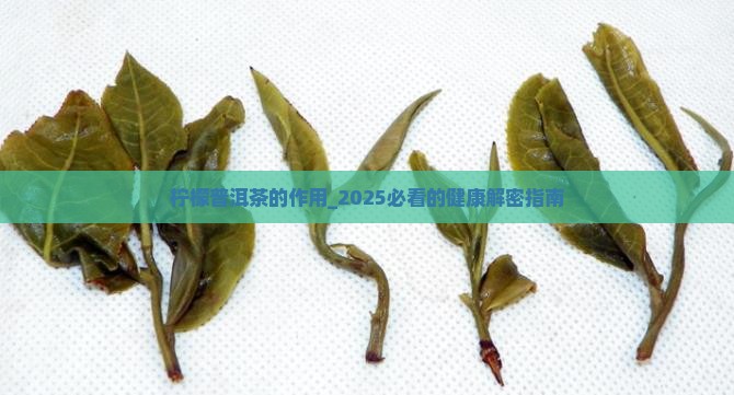 柠檬普洱茶的作用