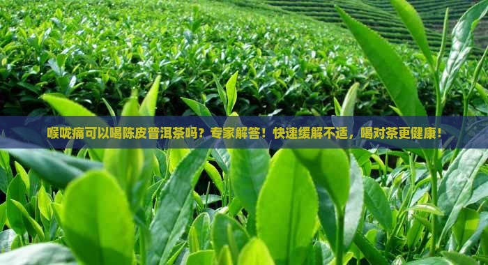 喉咙痛可以喝陈皮普洱茶吗