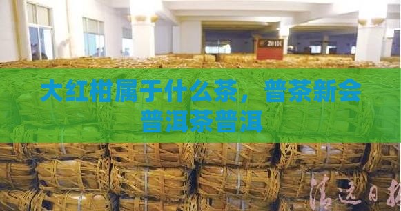 大红柑属于什么茶