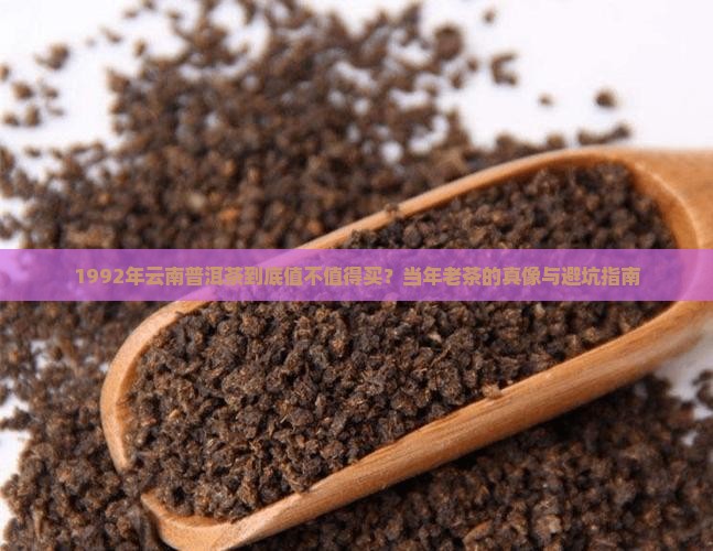 1992年云南普洱茶