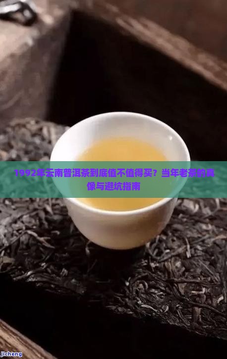 1992年云南普洱茶