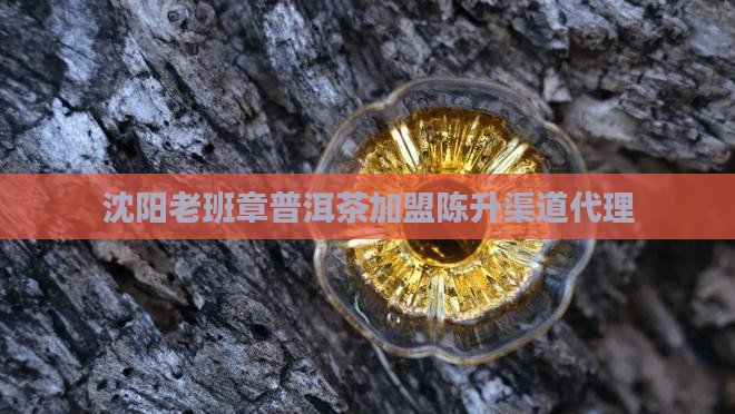 沈阳老班章渠道代理