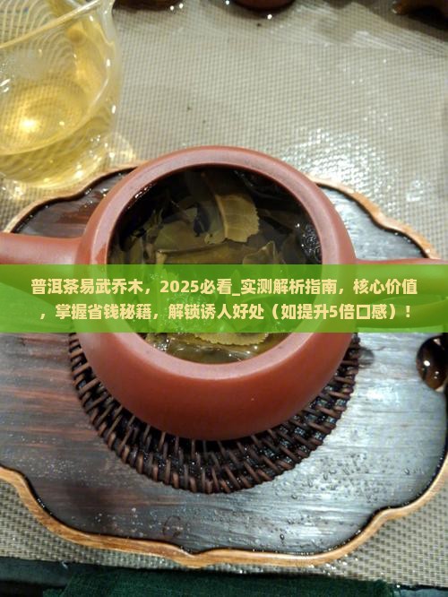 普洱茶易武乔木
