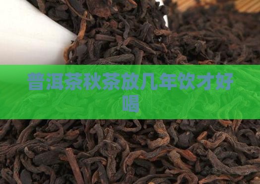 普洱茶秋茶放几年饮才好