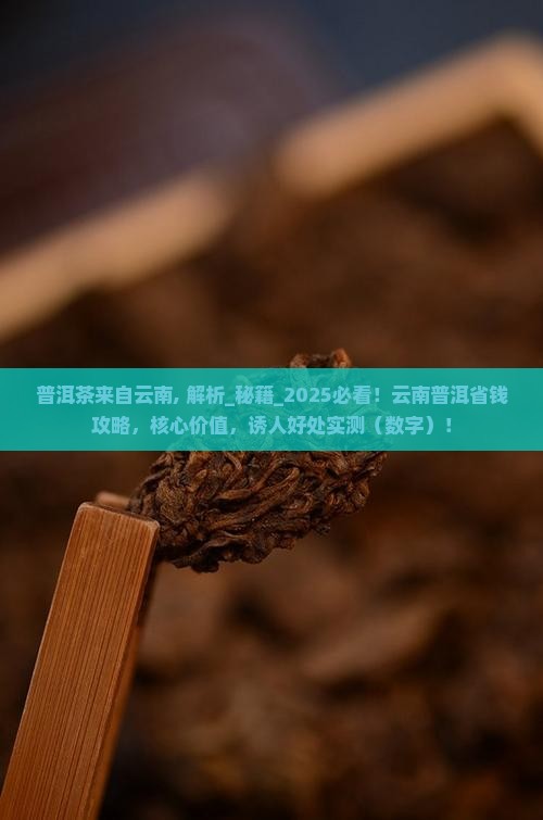普洱茶来自云南