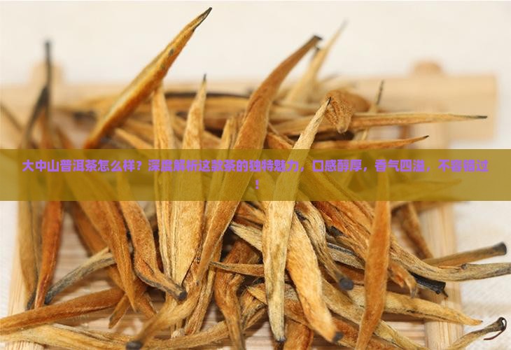 大中山普洱茶怎么样