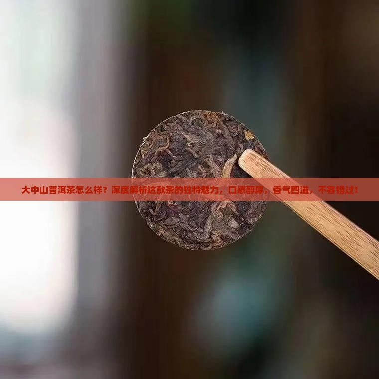 大中山普洱茶怎么样