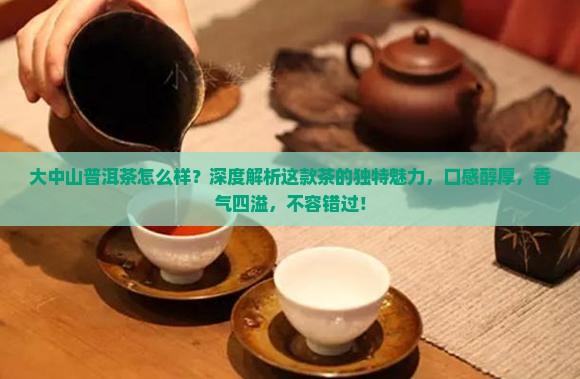 大中山普洱茶怎么样