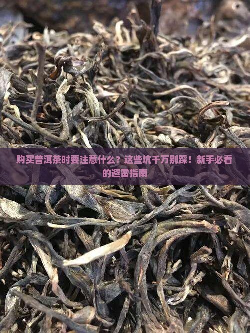 购买普洱茶时要注意什么