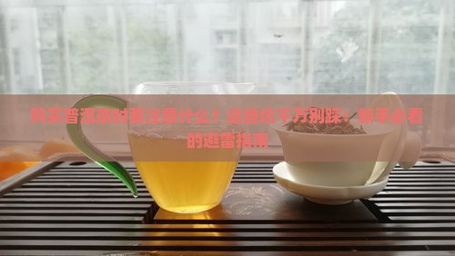 购买普洱茶时要注意什么