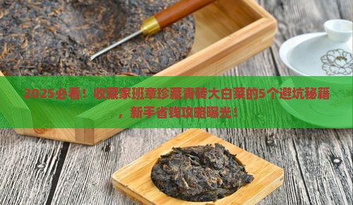 班章珍藏青砖大白菜