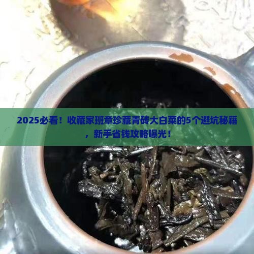 班章珍藏青砖大白菜