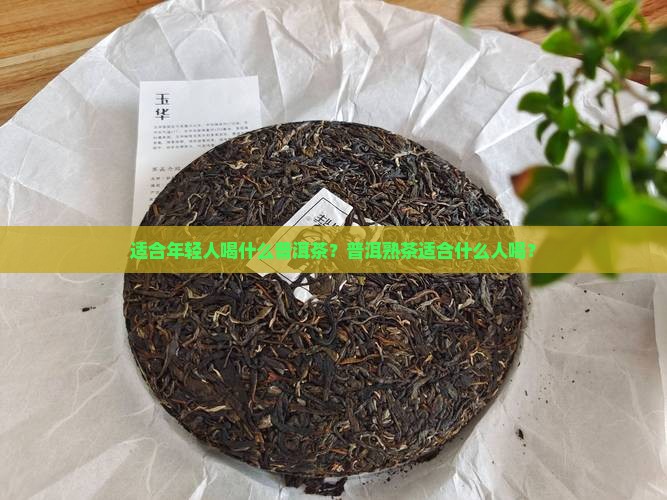 年轻人应该喝普洱茶吗