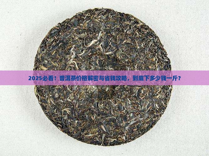 普洱茶下多少钱一斤