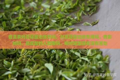 普洱茶对高尿酸功效