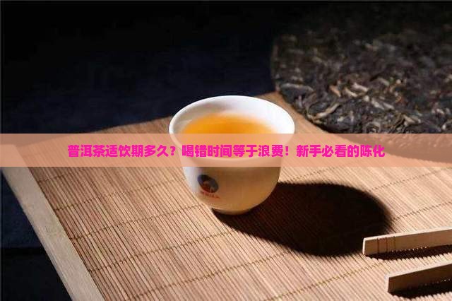 普洱茶适饮期多久