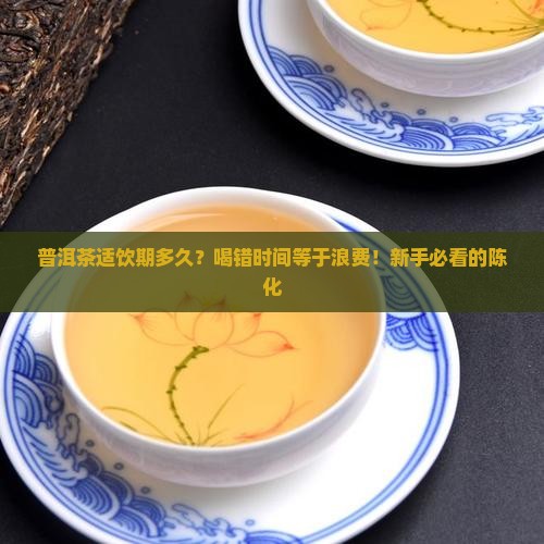 普洱茶适饮期多久