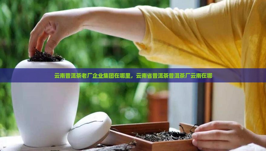 云南普洱茶老厂在哪里呢