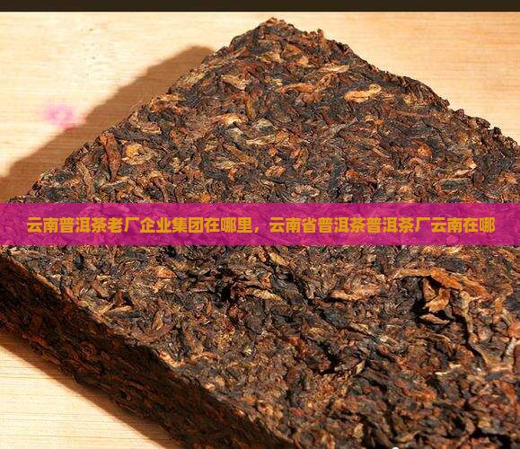 云南普洱茶老厂在哪里呢