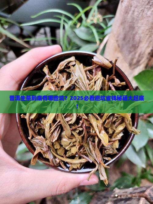 普洱茶生茶有哪些问题 普洱茶生茶有哪些问题