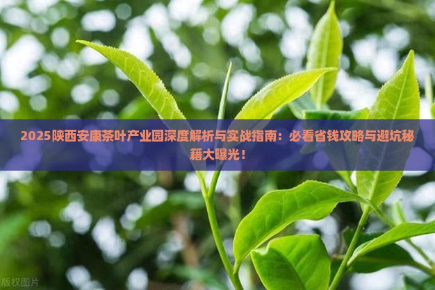 陕西安康茶叶产业园