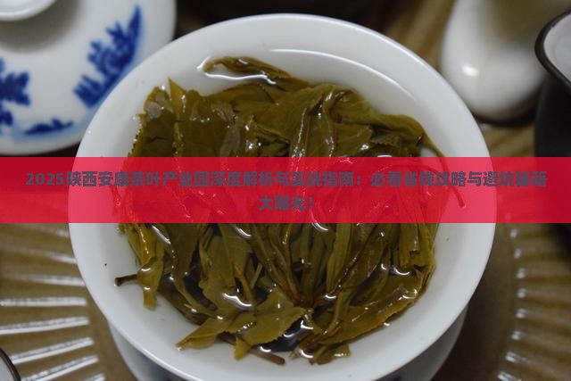 陕西安康茶叶产业园