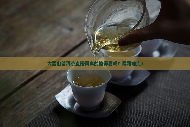 大雪山普洱茶直播间